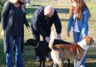 Marisa Fassi junto con el Dr. Romero supervisaron la campaña de vacunación de perros y gatos en El Taladro.