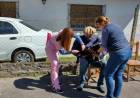 Campaña de castración gratuita en barrios y localidades