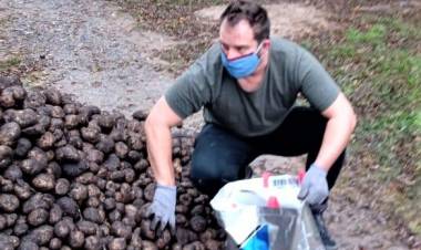 Asistencia municipal para comedores, merenderos y colegios.