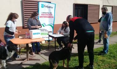 Plan de vacunación antirrábica en el barrio Hipotecario
