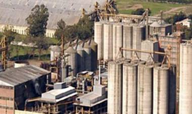 Molino Cañuelas se presentó en concurso preventivo de acreedores