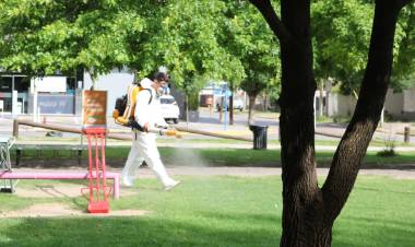 Intenso operativo de Fumigación en Cañuelas para Combatir el Dengue