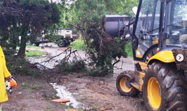 Acciones del Municipio ante el temporal que azota la región