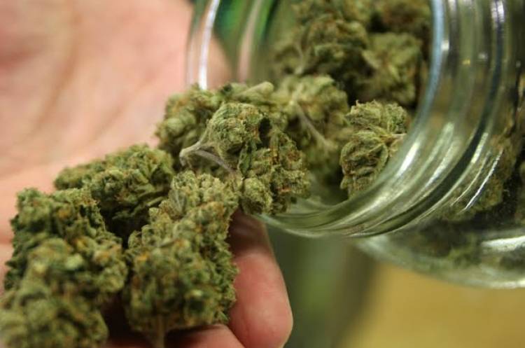 Le hallan marihuana a Policías bonaerenses de Cañuelas y son pasados a disponibilidad