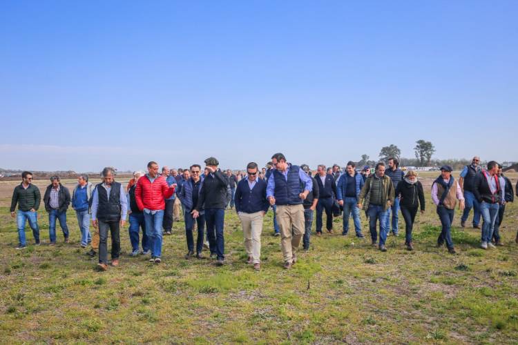 Búsqueda laboral virtual