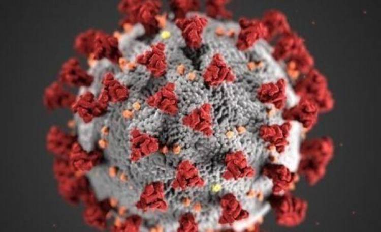 COVID-19: Cañuelas proseguirá la cuarentena en la Fase 3