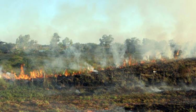 Charla abierta: Ley de humedales e incendios forestales