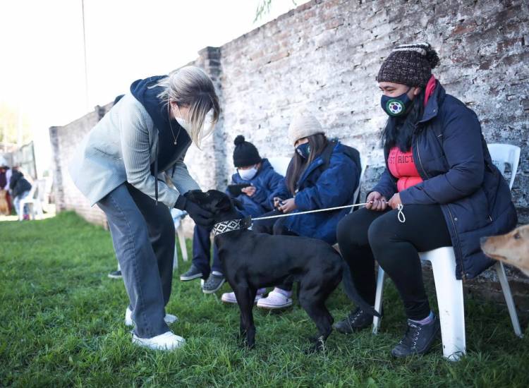 Nuevo operativo de castración de mascotas en Los Pozos