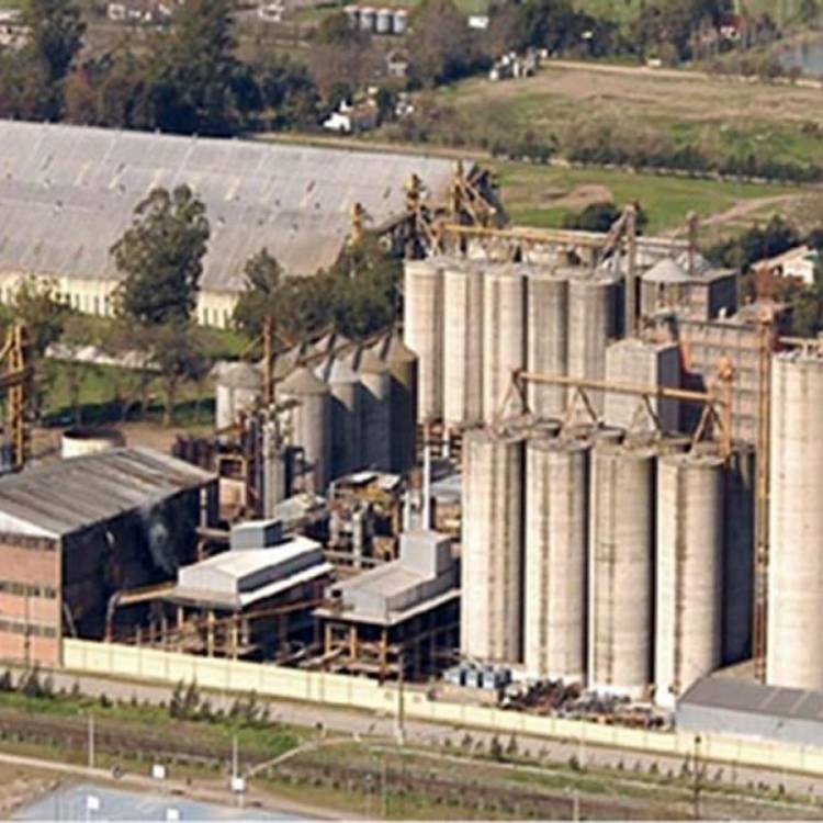 Molino Cañuelas se presentó en concurso preventivo de acreedores