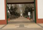 COVID-19: Organizan el tránsito de personas con miras al Día de Padre