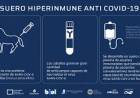COVID-19: Avanzan en la investigación del suero equino hiperinmune para neutralizar el virus