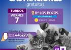 Campaña de vacunación y castración animal en Los Pozos