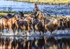 De Cañuelas a la Patagonia: la historia de una criadora de caballo