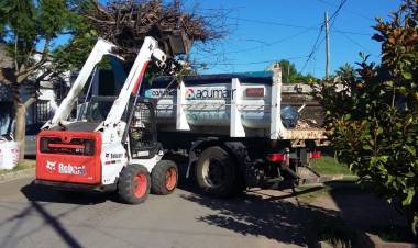 Nuevos trabajos municipales en la vía pública