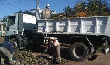 Diversas tareas en espacios públicos