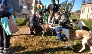 Este martes continuó en el barrio Guzzetti la campaña de vacunación antirrábica a domicilio