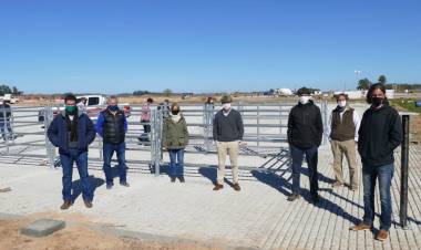 Se demora la llegada del Mercado de Agroganadero a Cañuelas