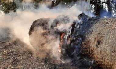 Vandalismo en un campo de Cañuelas y barbarismo de su propietario