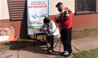 Plan de vacunación antirrábica en el barrio San Ignacio