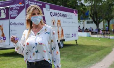 Comenzó la campaña de castración de mascotas