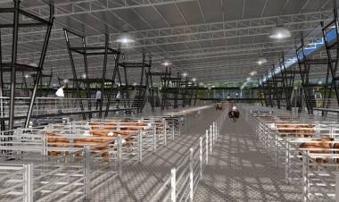 Postergan hasta mayo la mudanza del mercado de hacienda a Cañuelas