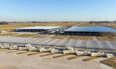  Últimos días de remates de ganado en Mataderos antes de su traslado definitivo a Cañuelas