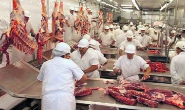 La hacienda ahora cae fuerte y la baja llegaría a las carnicerías la próxima semana