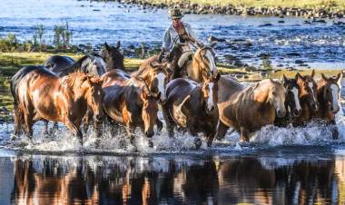 De Cañuelas a la Patagonia: la historia de una criadora de caballo