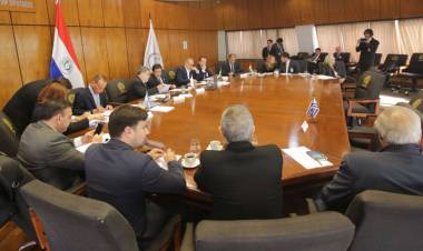 Gustavo Arrieta participó de la sesión del Parlasur en Paraguay 