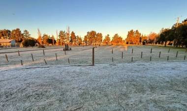 Ola polar  en la Provincia de Buenos Aires: cuál será el día más frío de la semana