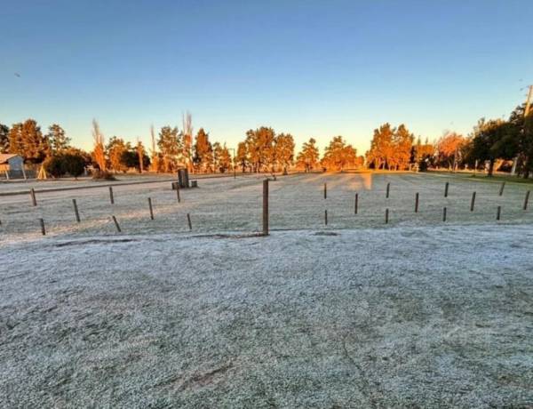 Ola polar  en la Provincia de Buenos Aires: cuál será el día más frío de la semana