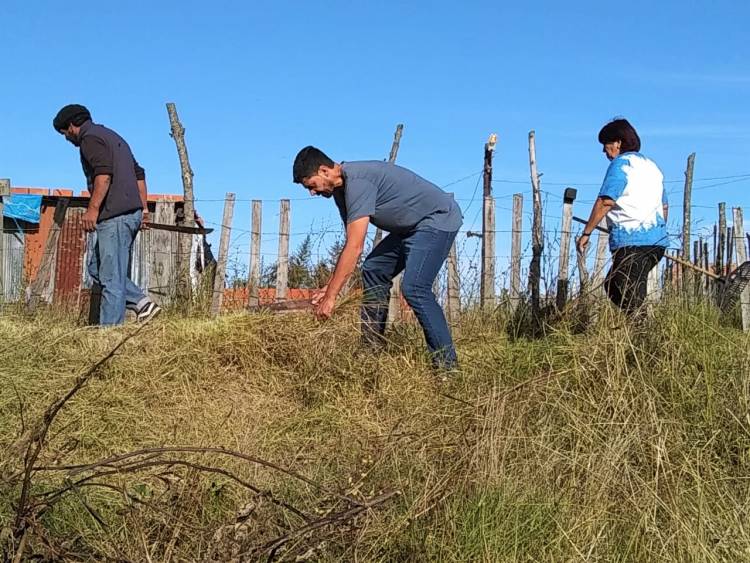 Operativo de limpieza en Máximo Paz
