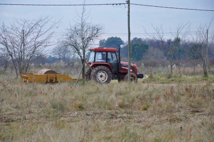Esquema de higiene y restauración de espacios públicos