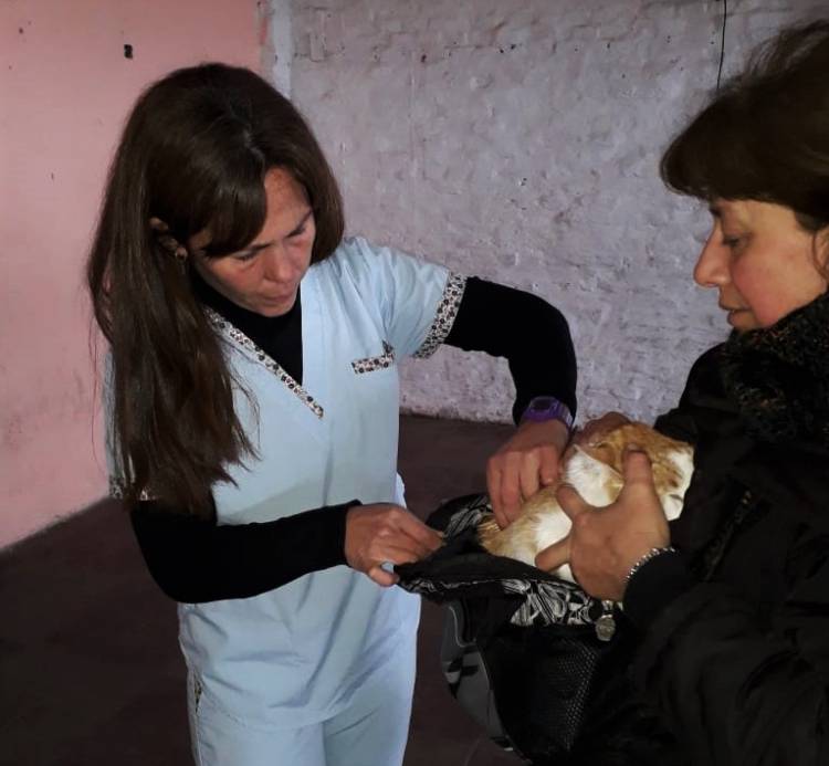 Campaña de vacunación antirrábica en Máximo Paz, Cañuelas Centro y Ruta Nº 3