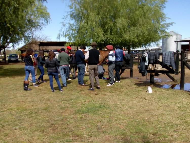 Por el curso de petiseros