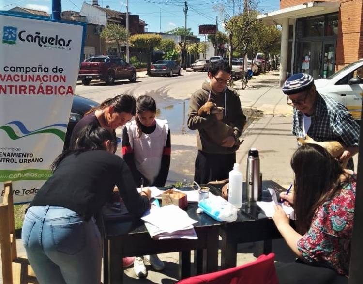 Sigue el operativo de vacunación para perros y gatos