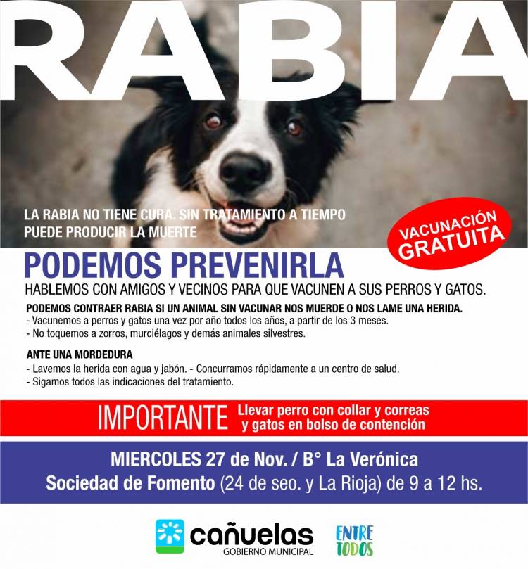 Continúa la campaña de vacunación antirrábica con nuevo cronograma
