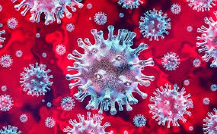 Sobre el Coronavirus y los adoradores del Mercado