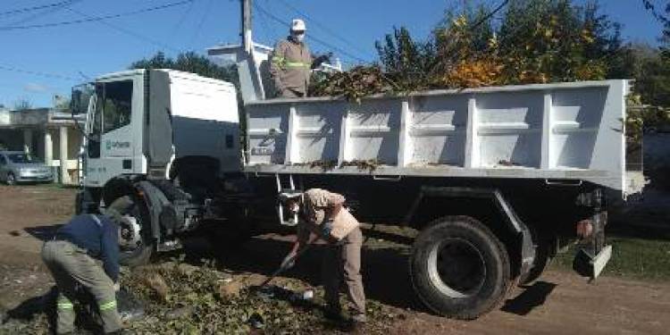Diversas tareas en espacios públicos