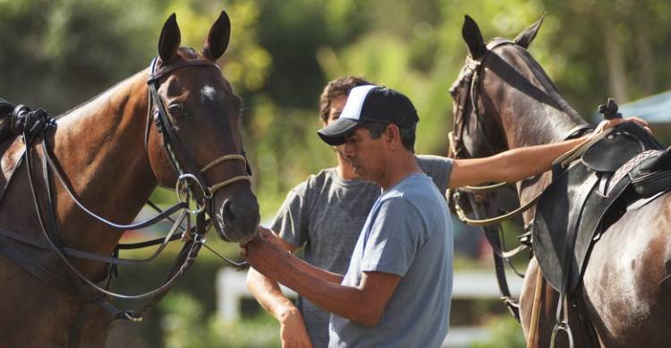 El Municipio advierte que no autorizó la práctica del Polo ni de ningún otro deporte