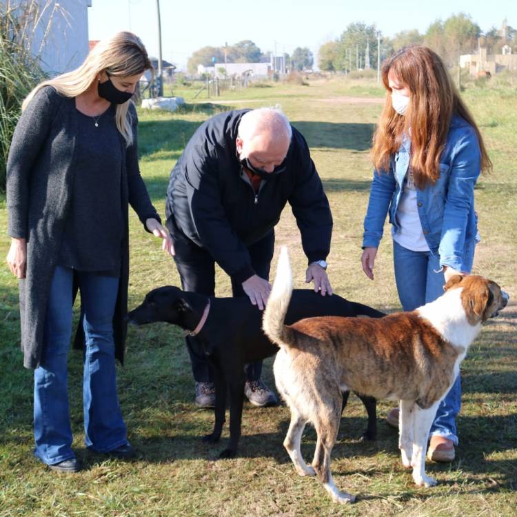 Marisa Fassi junto con el Dr. Romero supervisaron la campaña de vacunación de perros y gatos en El Taladro.