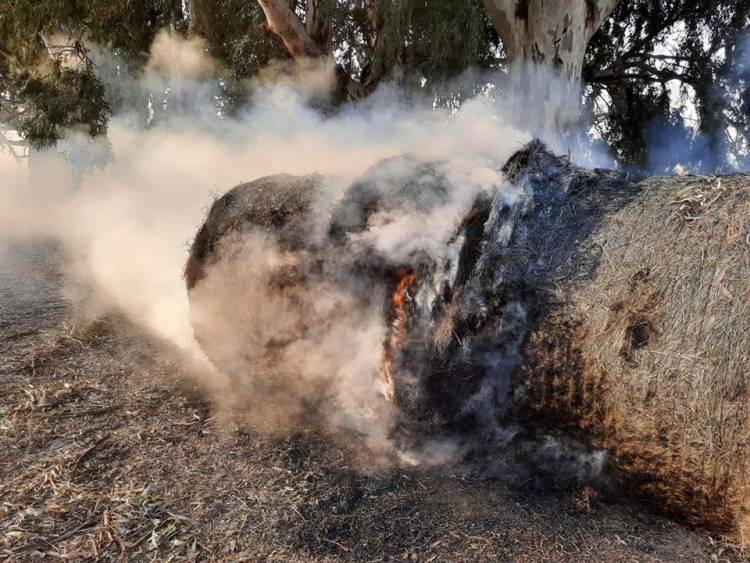 Vandalismo en un campo de Cañuelas y barbarismo de su propietario