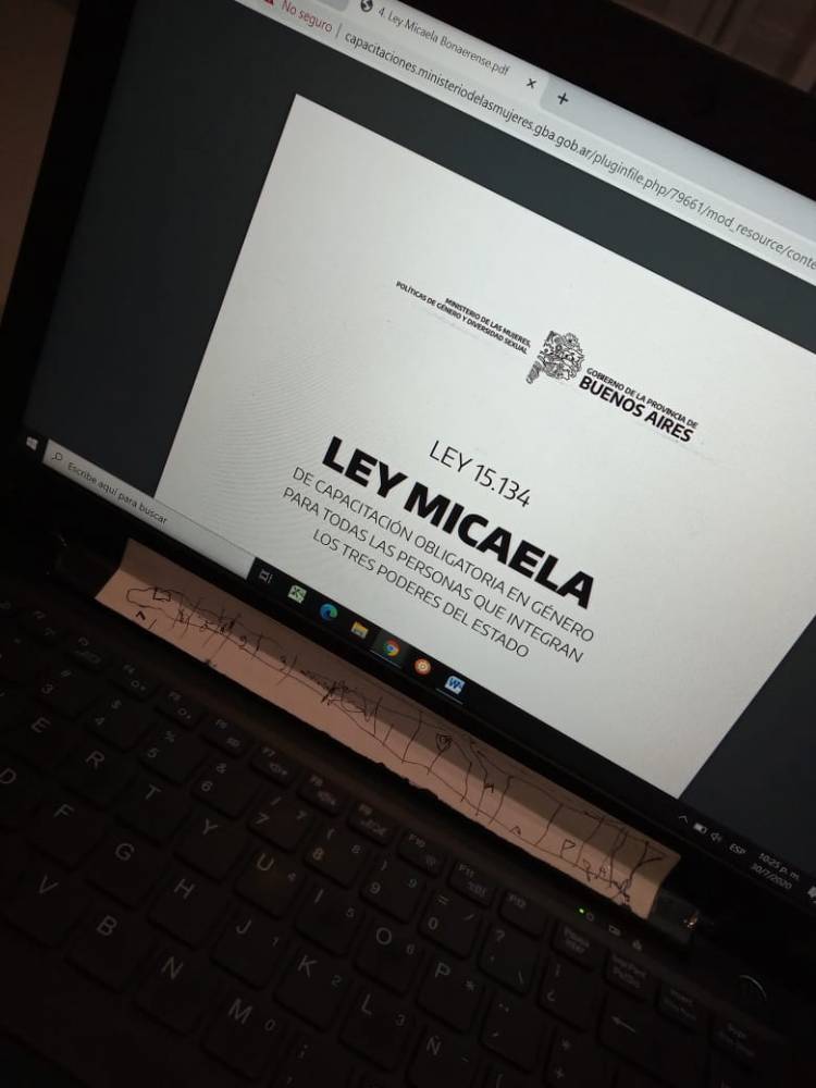 Capacitación de preparación de formadores en la Ley Micaela