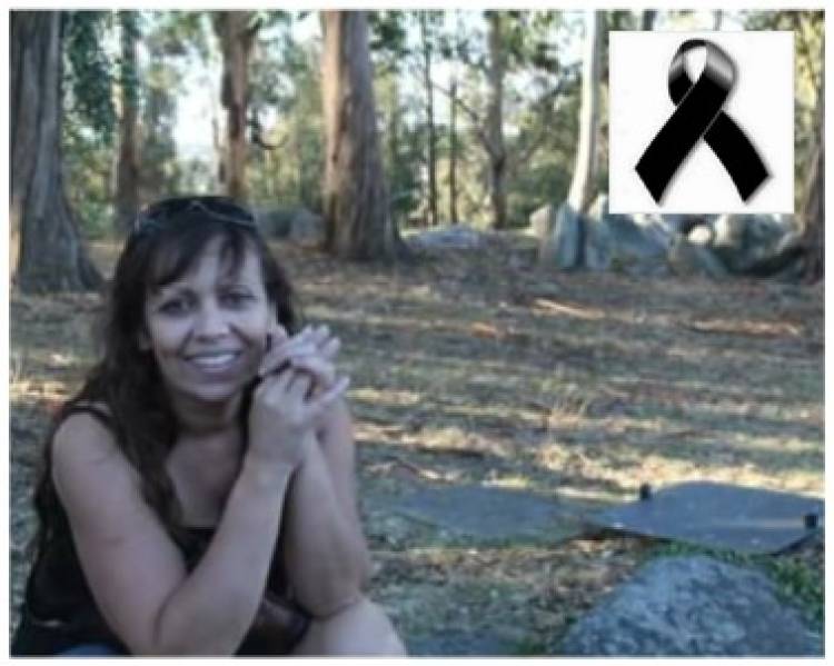 Viaja en Paz Compañera