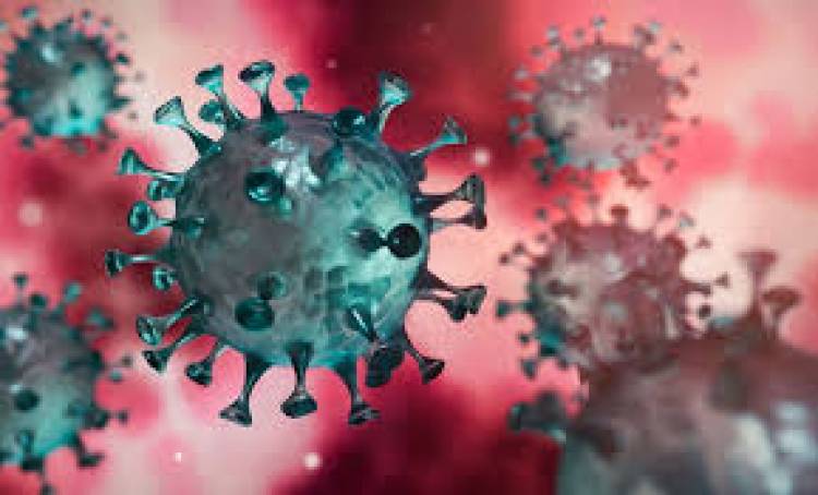 MAÑANA EL CORONAVIRUS ALCANZARÁ EL MILLÓN DE VÍCTIMAS