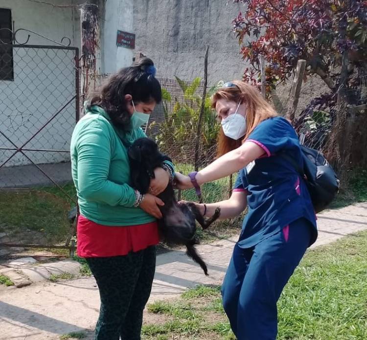 Primera etapa de vacunación antirrábica en el barrio San Ignacio