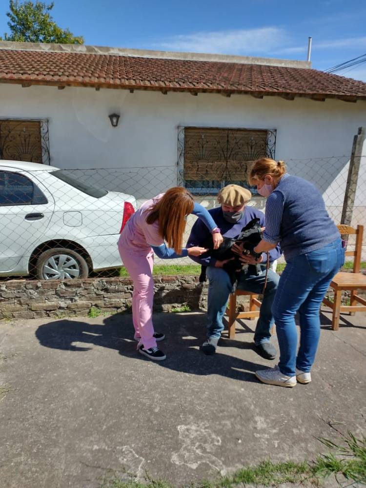 Vacunación antirrábica en el barrio Buen Pastor
