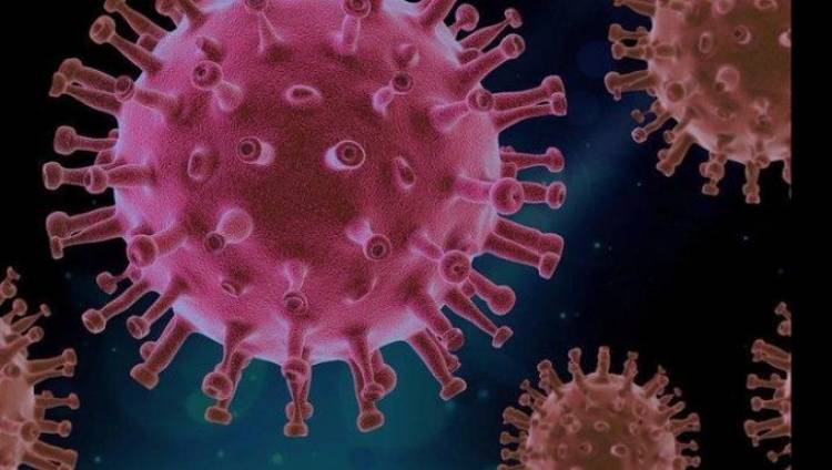 COVID 19: Informe de Mortalidad en Cañuelas