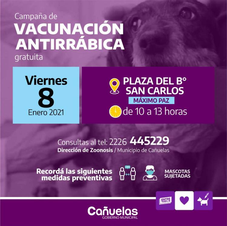 Máximo Paz: campaña de vacunación antirrábica gratuita