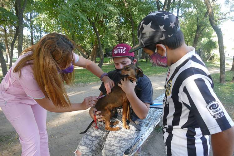 Continúan los operativos de vacunación de mascotas